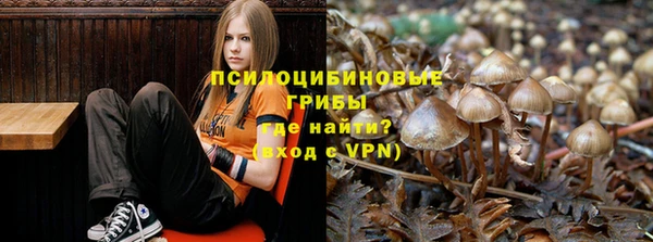 винт Калач