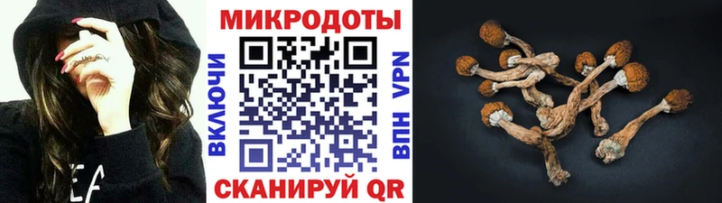 Псилоцибиновые грибы GOLDEN TEACHER  мега онион  Приморск 